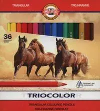 Colored Pencils KOH-I-NOOR Triocolor — 36 colors