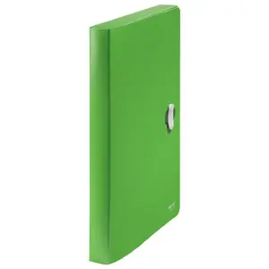 Box file Leitz 46230055 Green Polypropylene 250 sheets