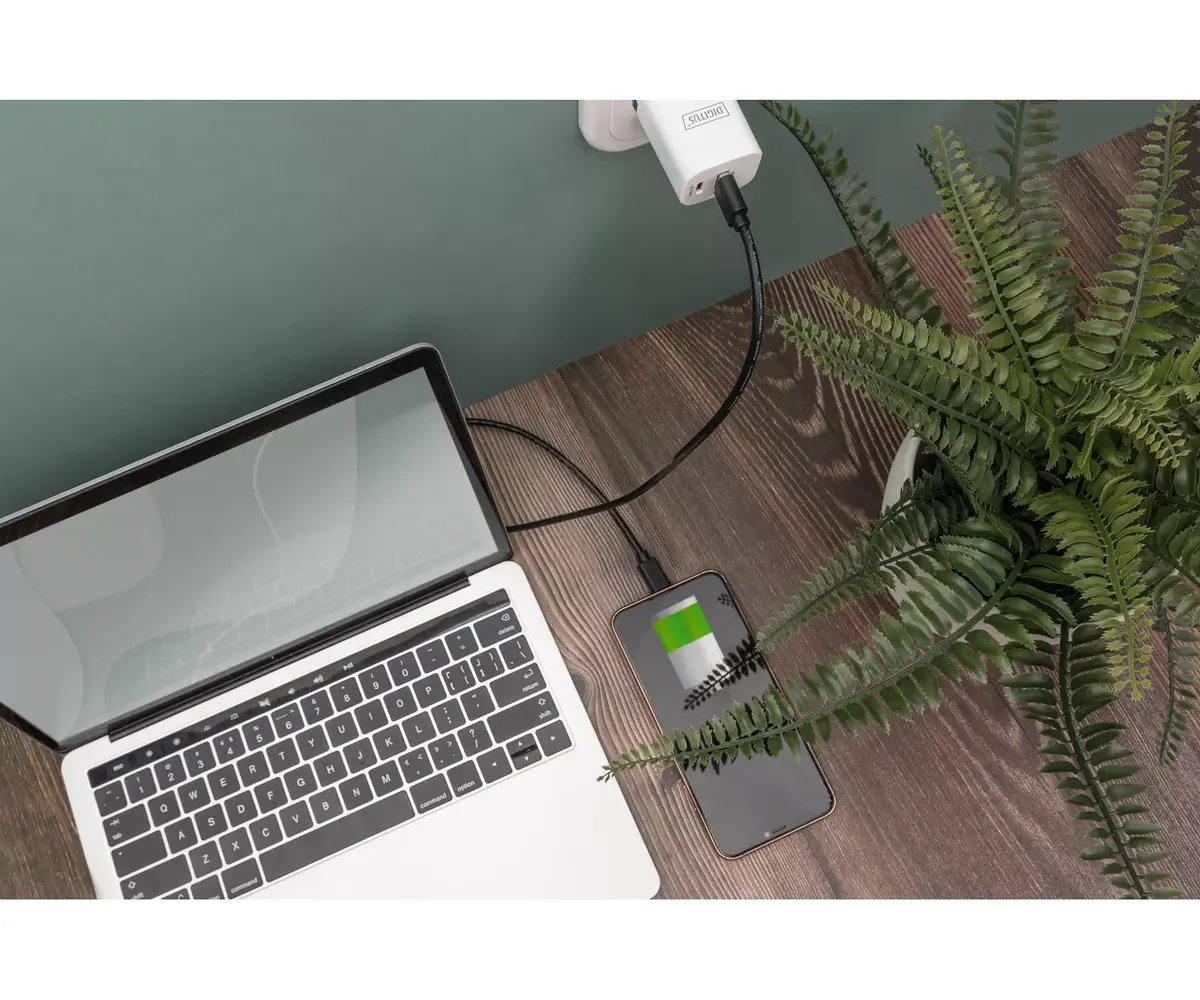 Кабель USB Type-C Digitus AK-300148-030-S Photo 2