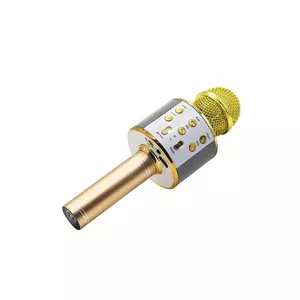 Manta MIC10-G gold