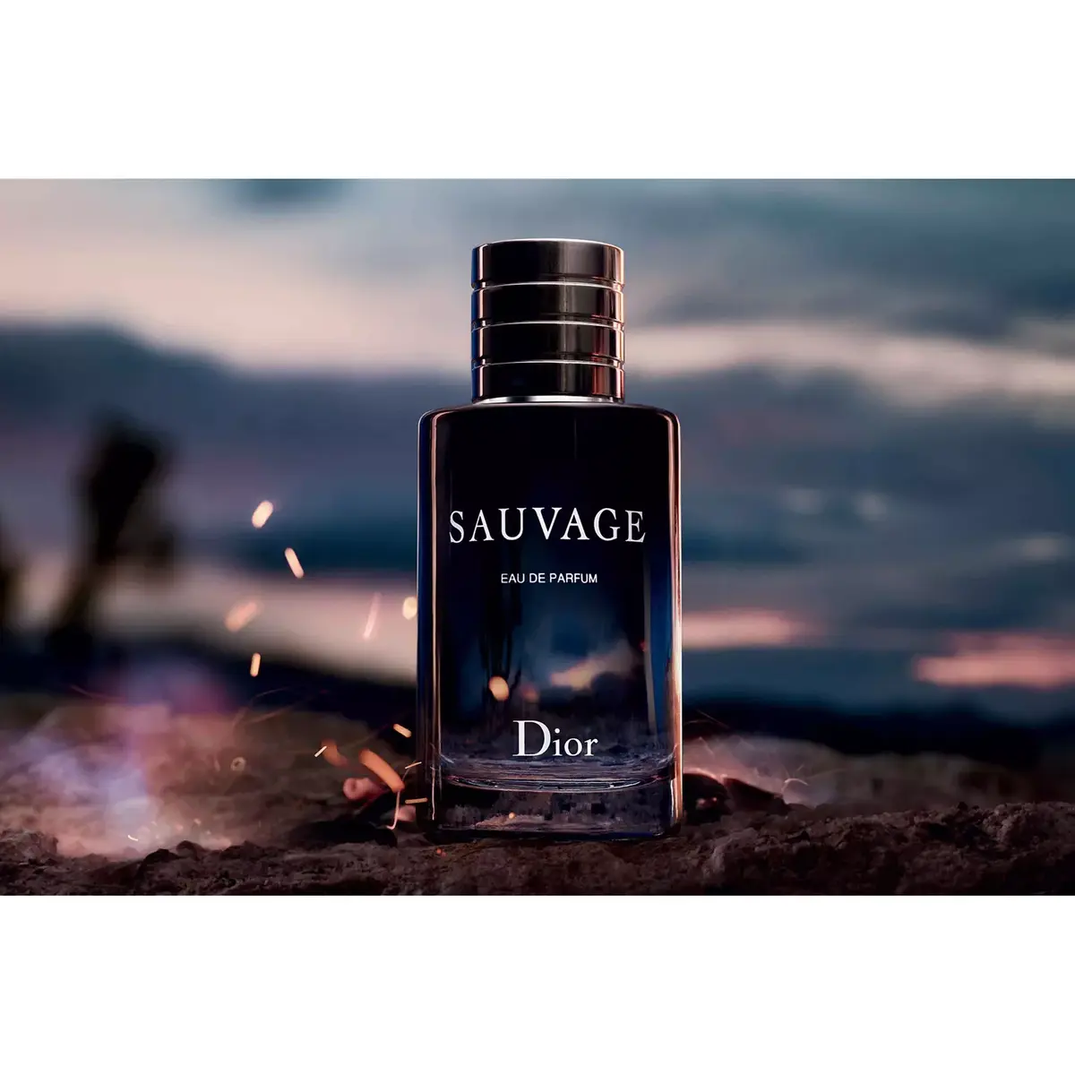 Dior Sauvage 078522009 Photo 2