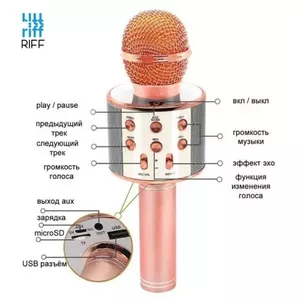 Riff WS-858 Karaoke Bērnu & Vecāku Prieka Efektu Mikrofons ar skaļruņiem & Ierakstu Micro USB AUX Rozā Zeltains
