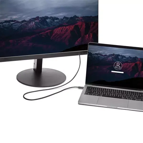 USB C to HDMI Cable StarTech.com CDP2HD2MBNL Photo 2