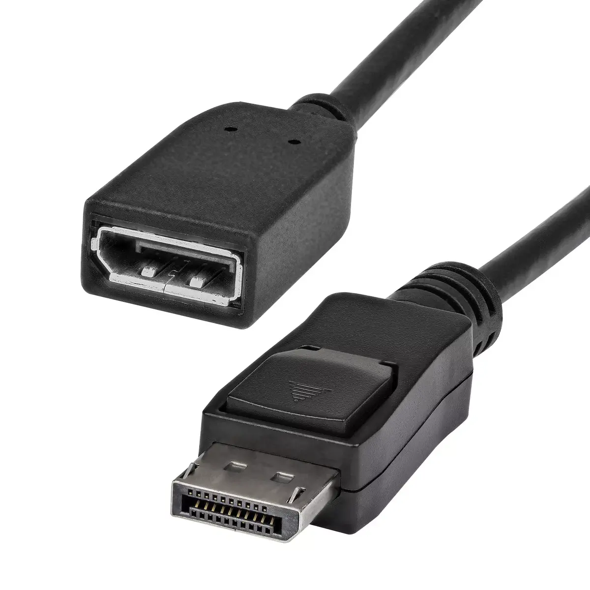 StarTech DPEXT6L 1.8 m DisplayPort