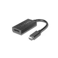 Lenovo 4X90Q93303 Video Cable Adapter USB Type-C to DisplayPort Black 0.2 m