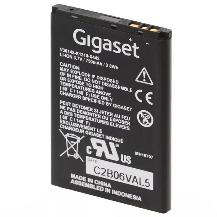 Gigaset V30145-K1310-X445 Photo 1