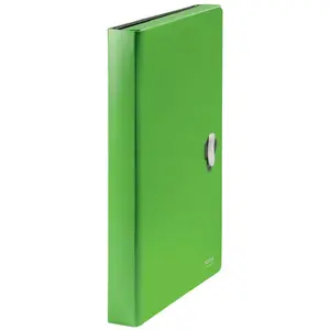 Box file Leitz 46240055 Green Polypropylene 250 sheets