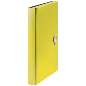 Box file Leitz 46240015 Yellow Polypropylene 250 sheets