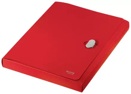 Box File Leitz 46230025 Photo 4