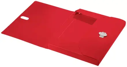 Box File Leitz 46230025 Photo 5