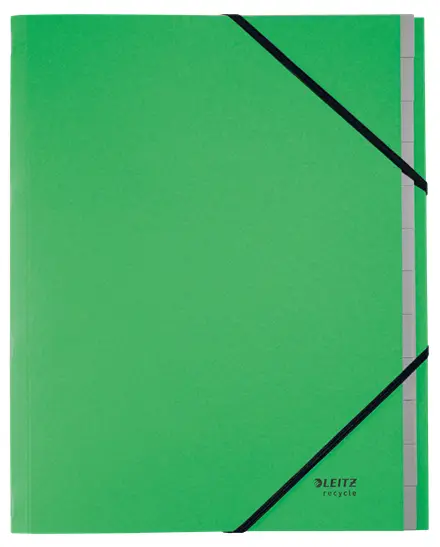 Leitz Recycle Card Divider Book 39150055