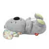 Fisher-Price Soothe 'n Snuggle Koala plīša rotaļlieta Photo 3