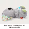 Fisher-Price Soothe 'n Snuggle Koala plīša rotaļlieta Photo 8