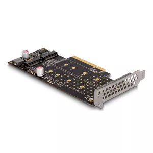 DeLOCK PCI Express x8 Card to 2 x internal NVMe M.2 Key M Bifurcation Low Profile