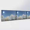 HI ND Videorow landscape 3x43 sienas stiprinājums Samsung 43" Photo 2
