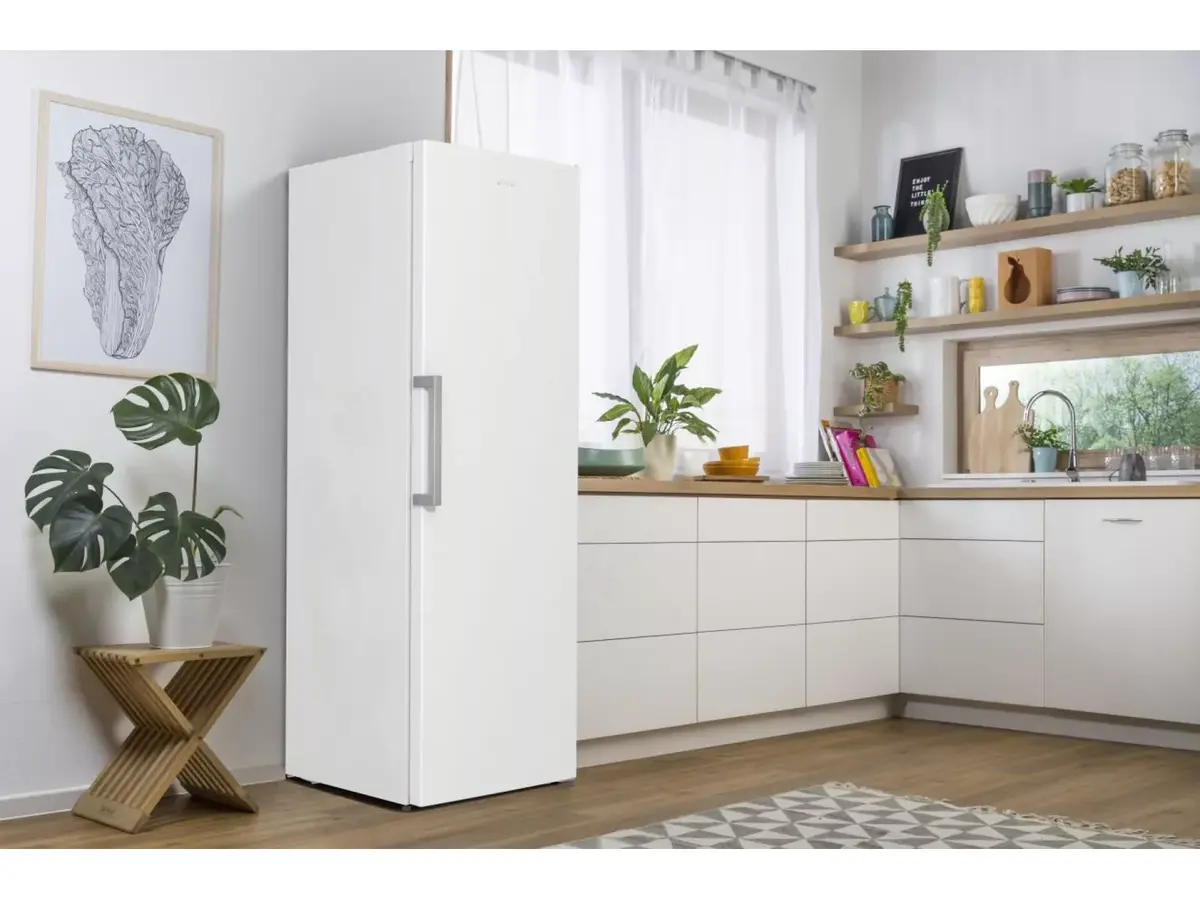 Gorenje FN619EEW5 vertikālais saldētājs 280 L Photo 12