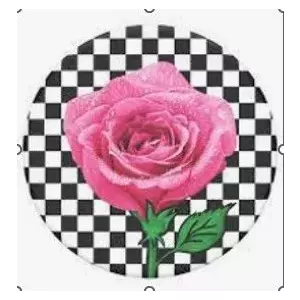 Phone grip Popsockets PT-SK8R GRL-BK Black by Popsockets — collapsible stand and grip
