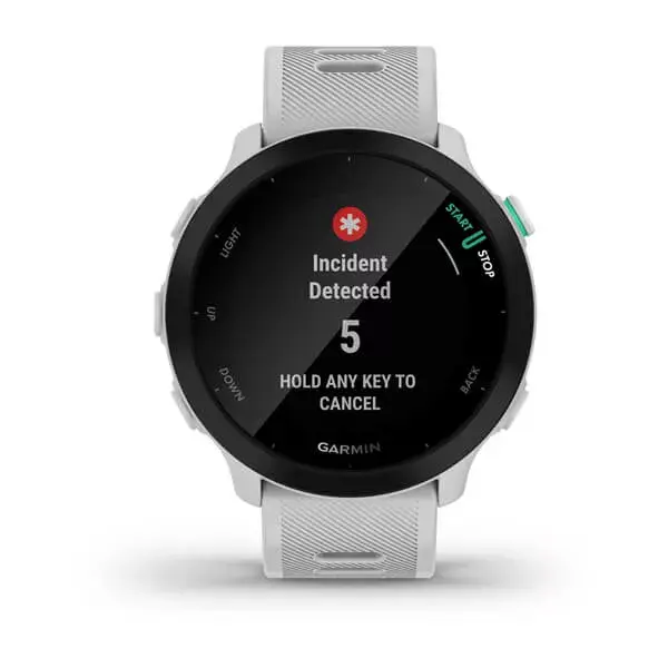 Viedpulkstenis Garmin Forerunner 55 Photo 7