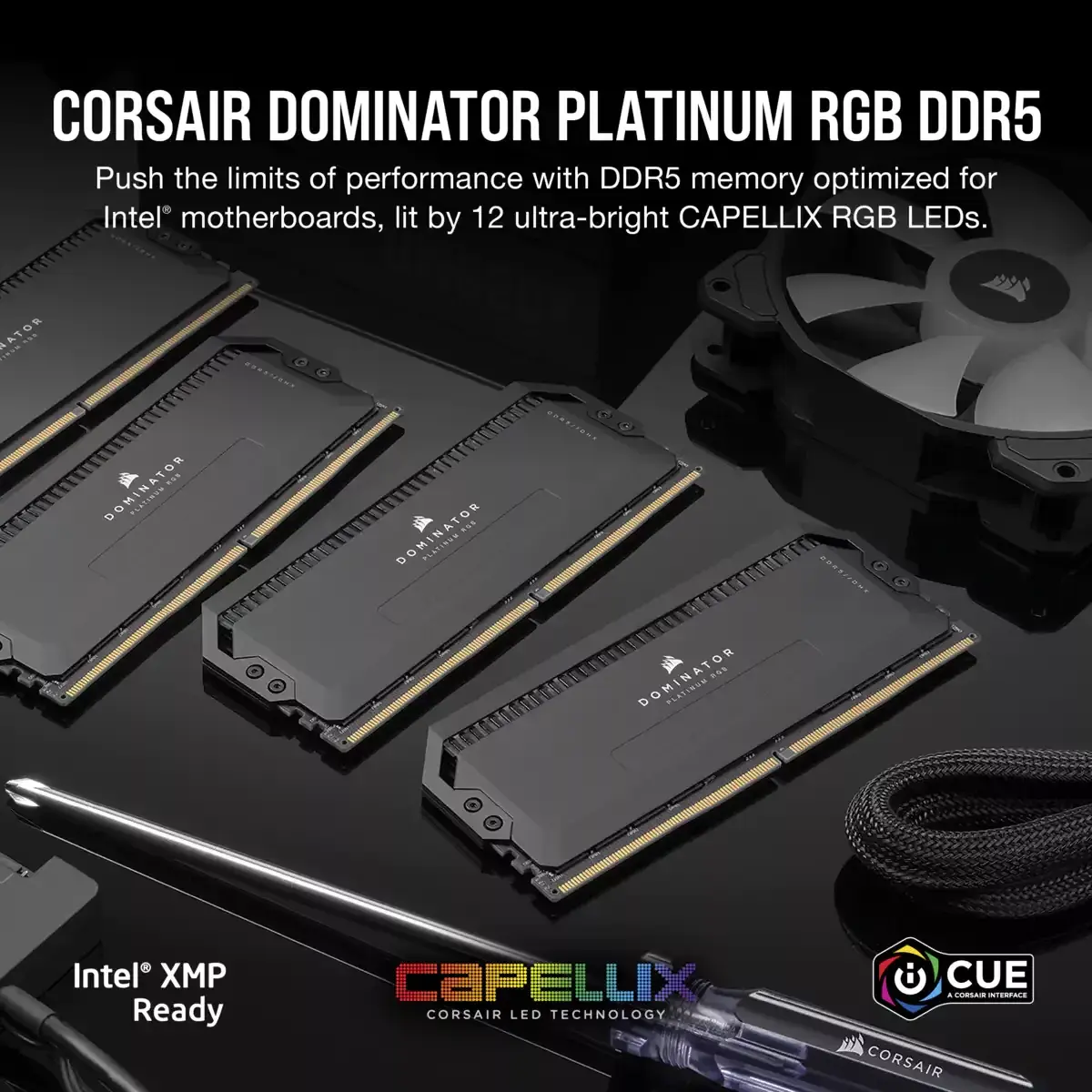 Модуль памяти Corsair 32 ГБ CMT32GX5M2B6400C32 Photo 8