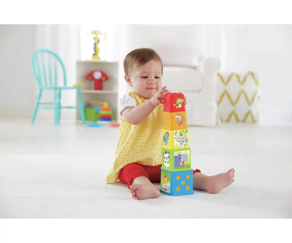 Fisher-Price Stack & Explore Blocks — 5-piece set Photo 2