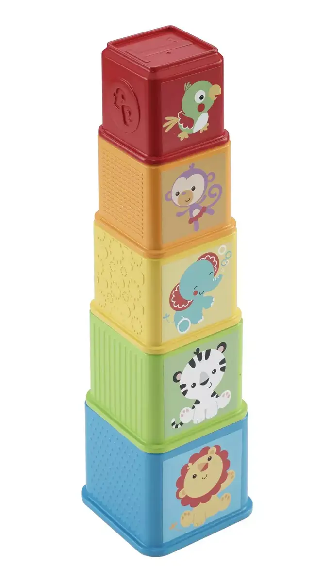 Fisher-Price Stack & Explore Blocks — 5-piece set Photo 3