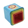 Fisher-Price Stack & Explore Blocks — 5-piece set Photo 5