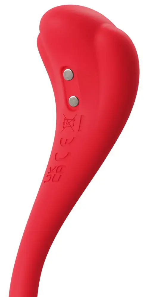 Bullet vibrators Svakom Phoenix Neo 2 Photo 4
