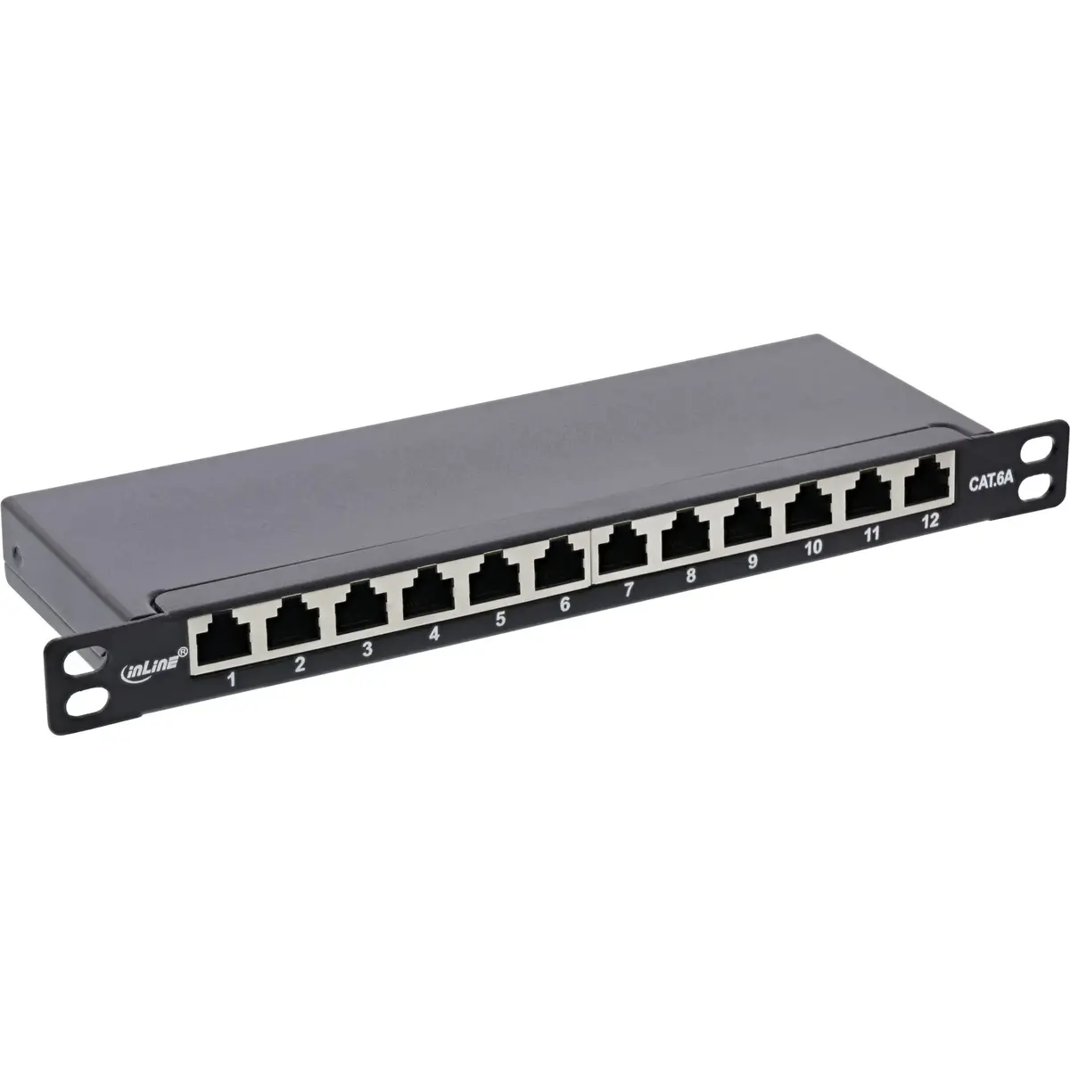 InLine 76819S 10" Cat.6A 12-Port Patch Panel Photo 3