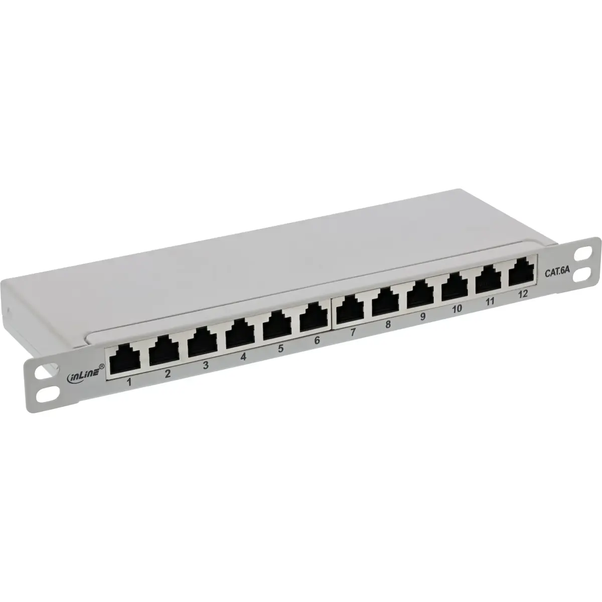 InLine 10" Cat.6A 0.5U 12-Port Patch Panel Photo 3