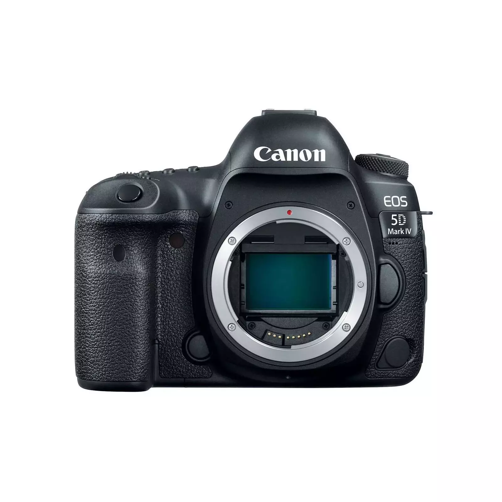 Canon EOS5DIV2470KIT Photo 2