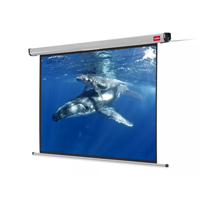 Projection Screens