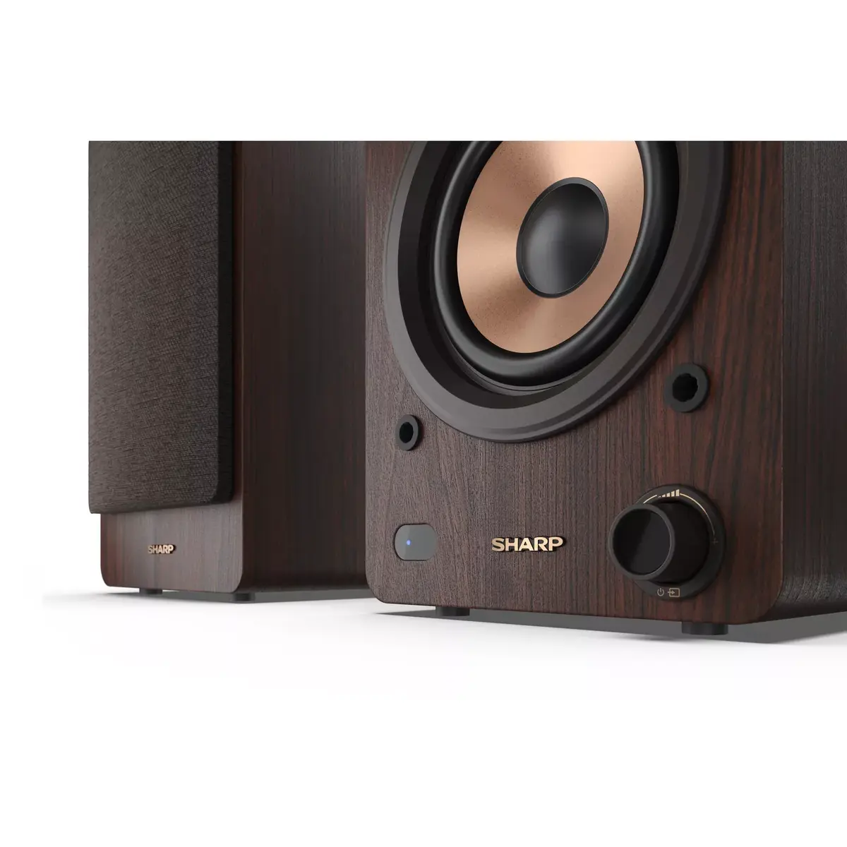 Колонка Sharp BOOKSHELF SPEAKERS CP-SS30BR Photo 10
