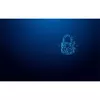 USB флешка Kingston 128GB IronKey Vault Privacy 50C Photo 8