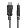DisplayPort Cable StarTech DISPLPORT10L Photo 2