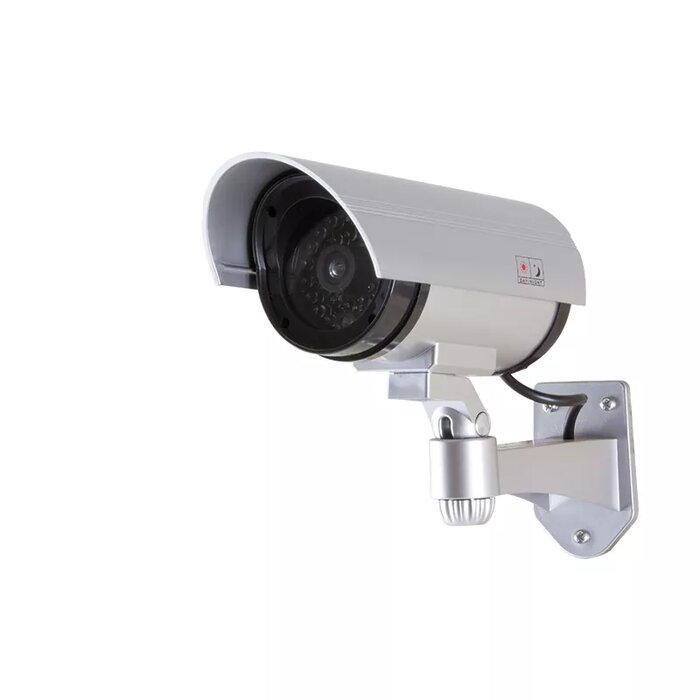 IP Cameras