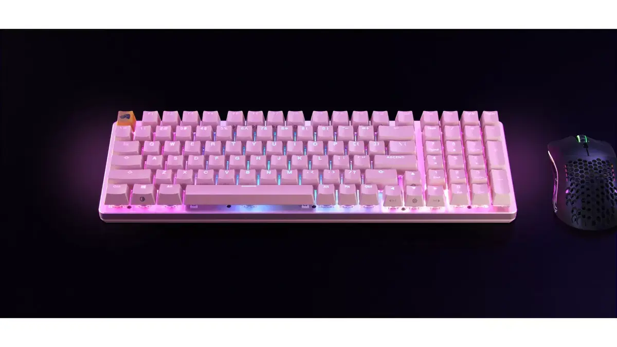 Keyboard Glorious PC Gaming Race GMMK 2 Photo 3
