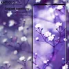 KAPSOLO Tempered GLASS iPhone 13 iPhone 14 Photo 3