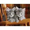 Clementoni пазл 500 элементов — Котята Photo 2