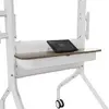 AV equipment stand Chief LSCUW Photo 5