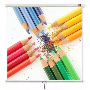 Projection Screen Avtek International Wall 200 16:10 Manual 2m