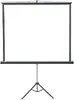 Projection screen 2X3 ETP1419/ECO 195×145 cm Photo 2