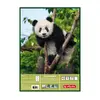 Writing notebook Herlitz 10416634 Photo 3
