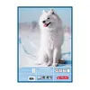 Writing notebook Herlitz 10416634 Photo 5
