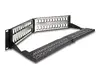Пасс-панель DeLOCK 66977 на 48 портов Keystone Photo 2