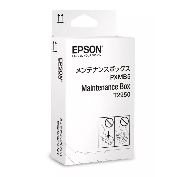 Epson C13T295000 Photo 1