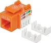 Кроссировочный разъем Cat5e UTP Punch-down оранжевый Intellinet Photo 4