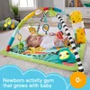 Игровой коврик Fisher-Price 3-в-1 Дождевой лес Photo 6