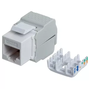 Intellinet Keystone Jack, Cat6, UTP, Toolless, White