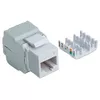 Keystone Jack Cat6 UTP Toolless Intellinet Photo 2