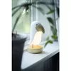 Освещение Ambiance Star Trading 357-68 Photo 10